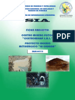 Ficha Ambiental Potosi PDF