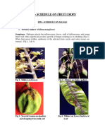 Ipm Fruit Crops 23022015 PDF