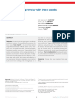 DP_endo_v07n1p014019_en.pdf