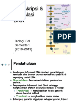 12 - Transkripsi Dan Translasi 2011