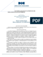 Conciliacion Vida Laboral y Familiar PDF
