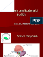 Anatomie Auz