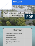 Water Logging Causes