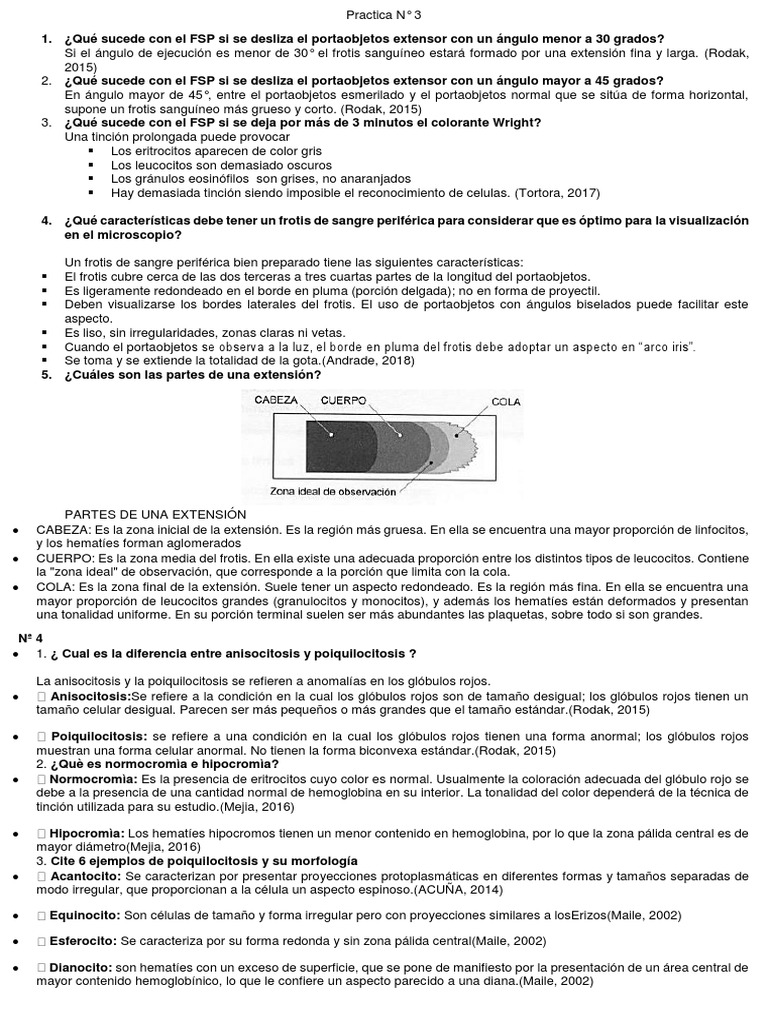 3 formas de preparar un portaobjetos para microscopio