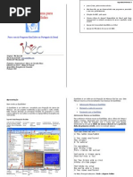 Manual de Uso do Programa para Projeção EasiSlides