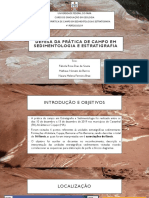 Defesa prática campo sedimentologia estratigrafia