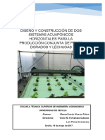 TFG DISEÑO Y CONSTRUCCIÓN DE DOS SISTEMAS ACUAPÓNICOS HORIZONTALES PARA LA PRODUCCIÓN CONJUNTA DE PECES DORADOS Y LECHUGAS.pdf