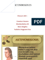 Mikologi Aktinomikosis