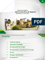 Informe VP Negocios Epm