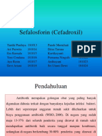 KIMFAR 12 ORANG Sefalosforin (Cefadroxil)