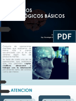 Procesos Psicologicos Basicos