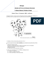 Questões - Reinos Monera, Protista e Fungi