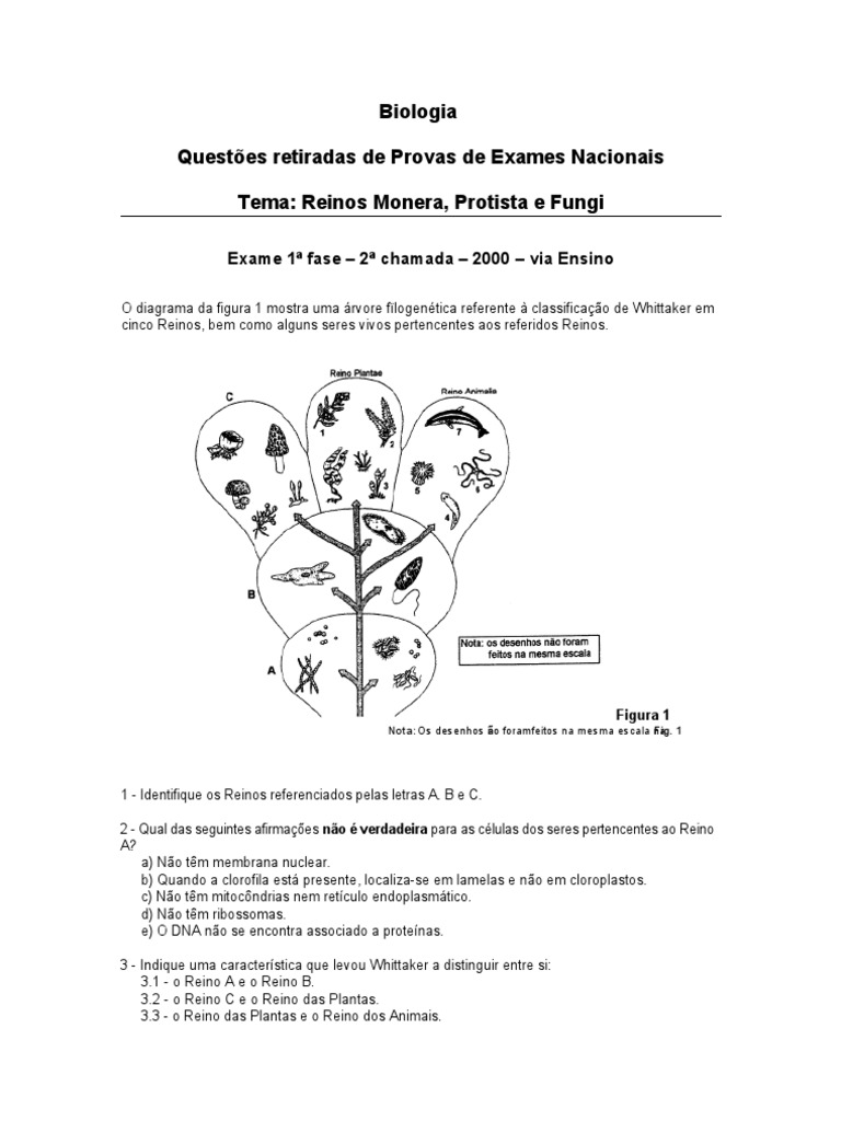 Questões - Reinos Monera, Protista e Fungi | PDF | Fungo | Plantas