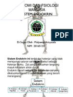 Sistem Endokrin