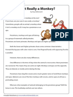 Monkeys Worksheet