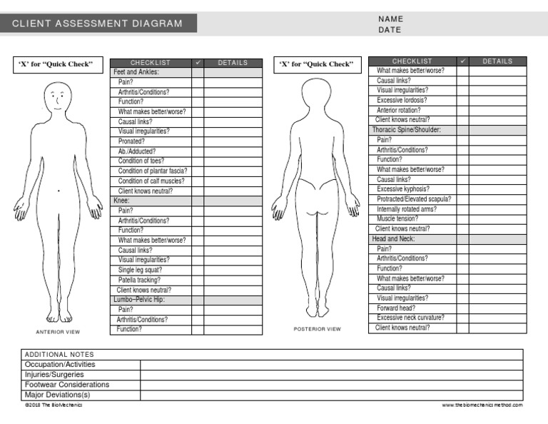 Client Assessment Diagram | PDF | Anatomical Terms Of Motion | Limbs ...