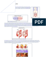 Pathophysiology Gastroenteric Disease.pdf