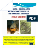 Establishment of A Commercial Catfish and Tilapia Farm in Nigeria PDF