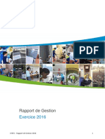 Rapport de Gestion 2016 PDF