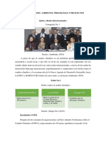 D1 - IMP - S8P2 (Secretaria Del Ambiente Programas y Proectos)