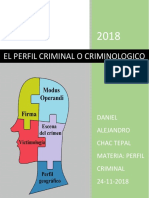 Perfil criminal: Análisis del perfil criminológico y sus tipos