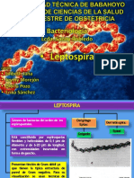 Leptospira 141202212216 Conversion Gate02