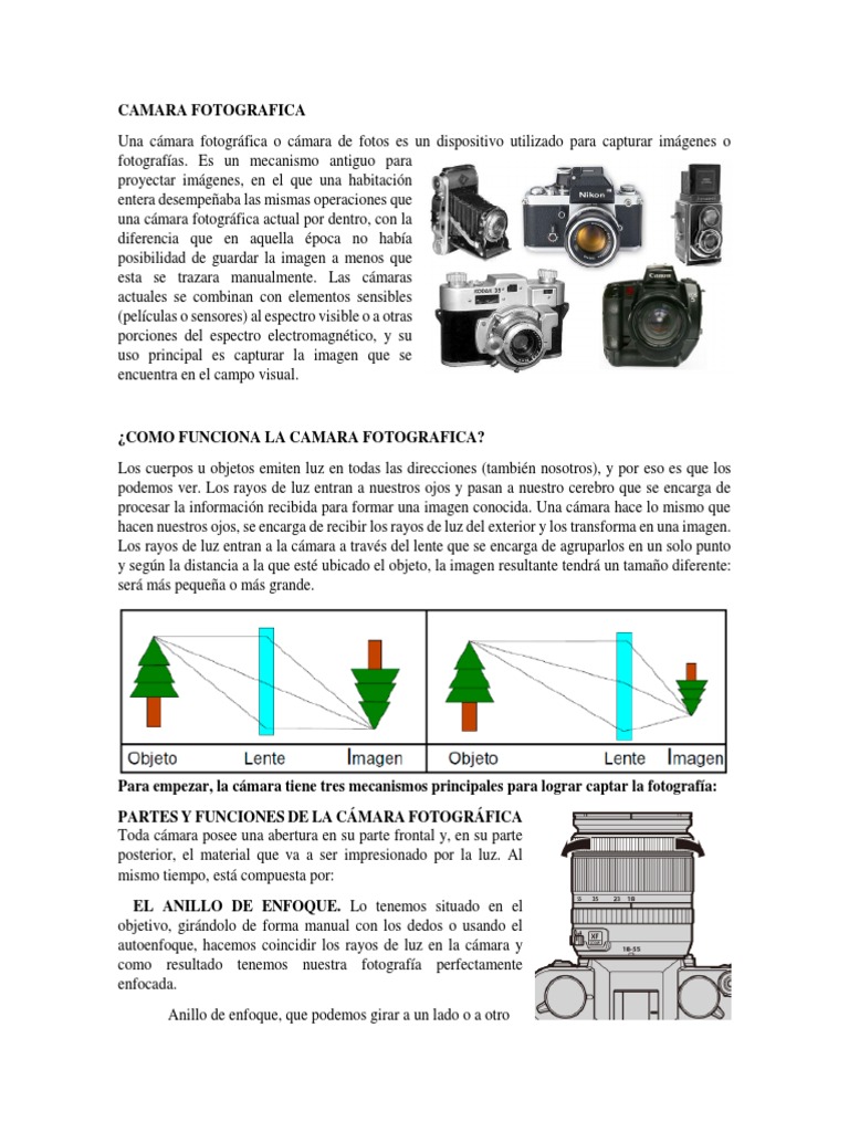 Camara Informe | PDF | de la cámara Cámara réflex de lente única