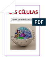 CELULAS