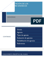 Rehabilitación de Los Síndromes Gnósicos