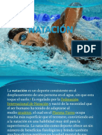 Exposicionnatacion 120513164141 Phpapp01