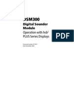 DSM 300 PDF