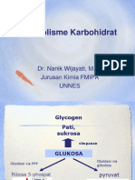 Metabolisme KH (Ok)