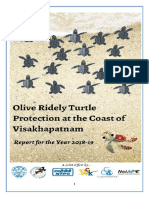 VSPCA Sea Turtle Report 2019 (3)