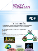 Equipo 1 Proceso Salud-Enfermedad,Triada Ecológica y Cadena Infecciosa 2019
