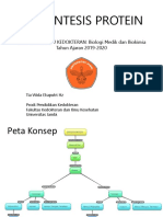 Sel-Sintesis Protein