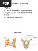 Anatomie et Biomécanique du Rachis | PDF | Vertèbre | Colonne vertébrale