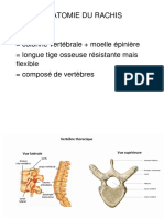 Anatomie PARTIE 4 Le Rachis