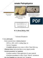 Carbonate Petrophysics OverView