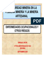 ENFERMEDADES OCUPACIONES Y OTROS RIESGOSa.pdf