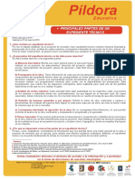pildora_partes expediente tecnico.pdf