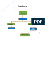 Organigrama Y Estrategias Farmacia