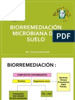 Biorremediacion Ambiental