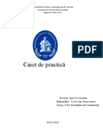 Caiet de practica Ipati Constantin.docx