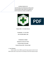 Laporan P2M - Dr. Eveline - PMS (Materi Catin) PDF