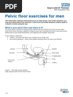 Pelvic Floor Exercises for Men | PDF | Pelvis | Urinary Incontinence