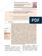 Grupo 11.en - Español PDF