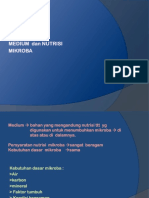 9.medium Dan Nutrisi M.O