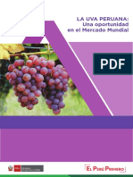 Informe-Uva-peruana.pdf