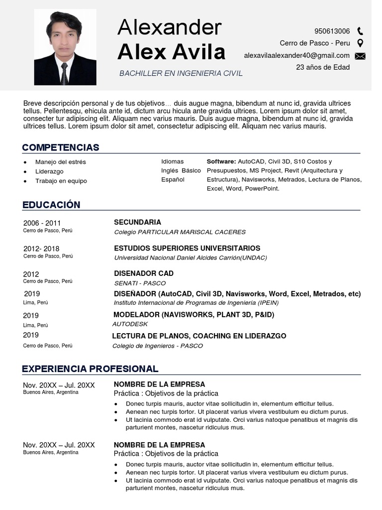 Curriculum vitae academico picture