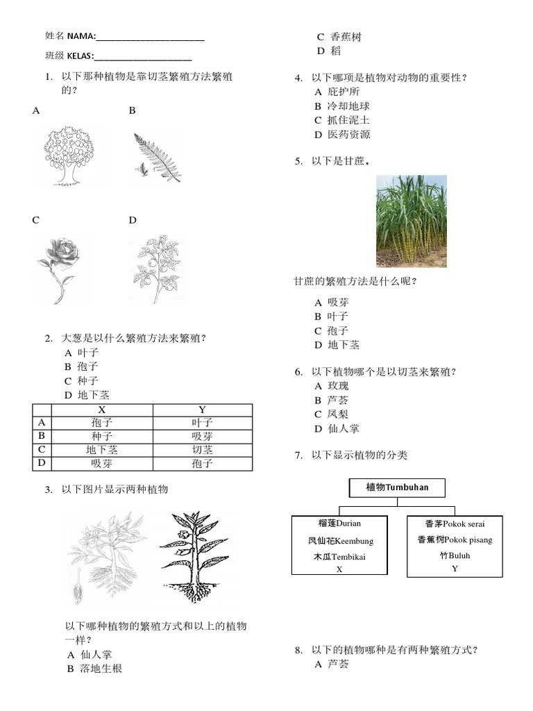 考卷1